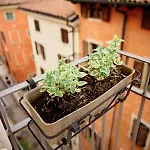 Vista Apartment Verona