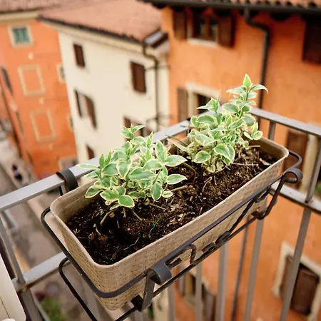 Vista Lejlighed Verona
