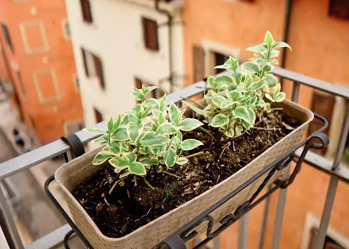 Vista Apartment Verona